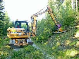 Radbagger Case